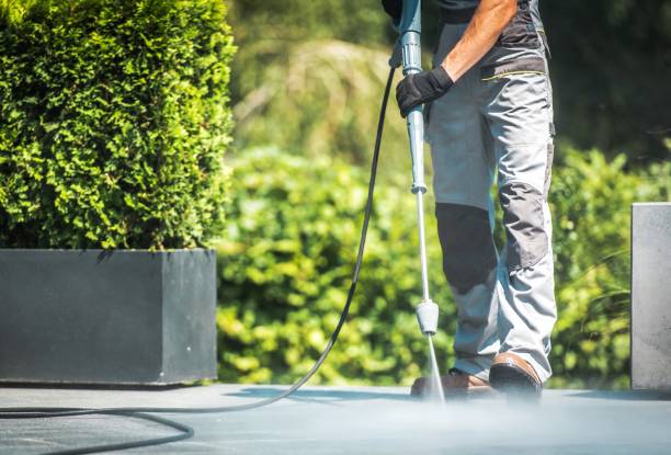 Best Warehouse Cleaning  in Paia, HI
